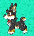 comm - corgi pooltoy