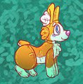 pooltoy corgi