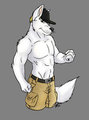 Ryan R Commission