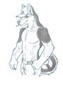 Apollo Sketch