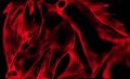 Harmony - Rage by amusedinsanity