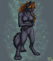 The Way Things Are by ObsidianWolfess