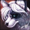 Shades Of Gray by Shesta