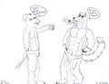 Shadow Doesn’t Share