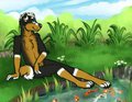 Nice Day! by Kobu