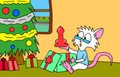 X-mas Gift