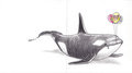 Whale Wishes Well by Dolorcin