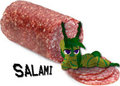 Salami