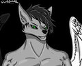 Silver Portrait by lexivous