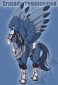 CrusaderPegasusmon