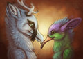 Love Birds