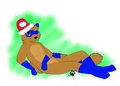 Santa Coon