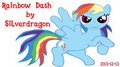 Rainbow Dash New