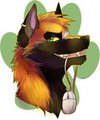 Cross Fox by Keji