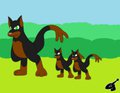 Doberman dwip