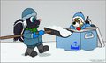 Bringing Home the Snow