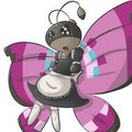 Vivillon Maid