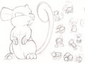 Rattata sketches