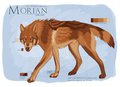 Morian - Ref