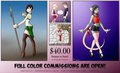 Commissions Open
