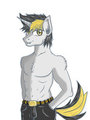 Anthro Sparc by SparcHaze