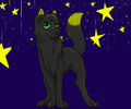 The Stars Above by NekoDorei