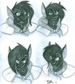 Catmeister - Head Shot - Emotions