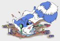 Rolling in Cat Food