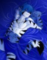 "Sexy Cat Boy" 
