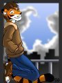 Sky Tiger 