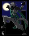 Teal The Cat Ninja! 