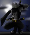 3rd Ninja 