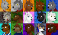 Kyra's Pack