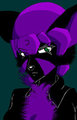 Fury Tsuki, First