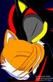 Shadow's Heart