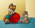 Playing around the Toys