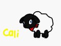 Sheep Cali