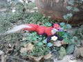 Felt Fox