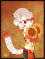 Son of Sun
