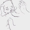 Paw to Mouth by antiroo