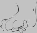Paw to Fox