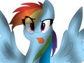 Dashie by Notochan