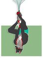 Oh Hello there.....  Just hanging around.