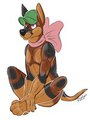 Happy Doberman Is Happy by MakksDP