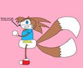 Amber the HedgeFox