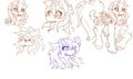 Mitter sketchies