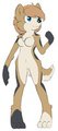 Anthro Practice