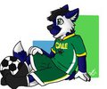 Soccer Cub