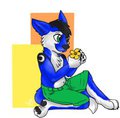 Flower Cub