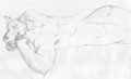 Chaos Sleeping
